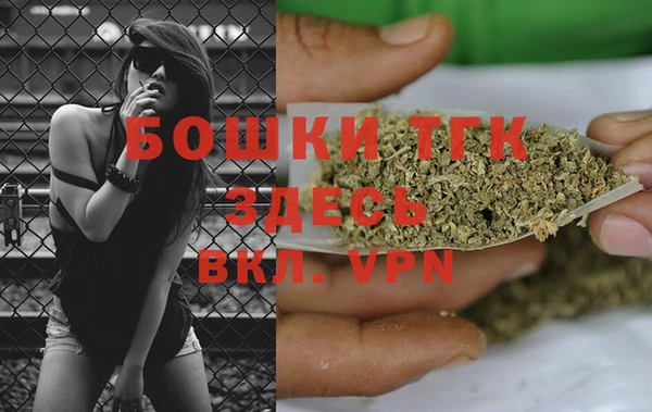 индика Куйбышев