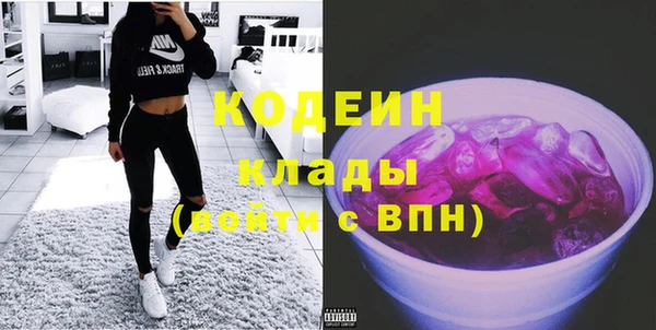 индика Куйбышев